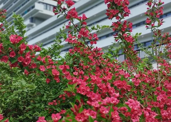 Resort Sanatorium Rownica *